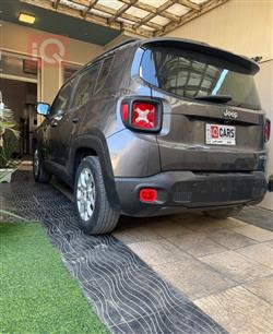 جيب رينيجيد